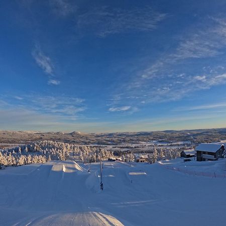 Toppvillan - Ski In - Ski Out - 200 M Till Toppen Och Cykelleder Järvsö Eksteriør billede